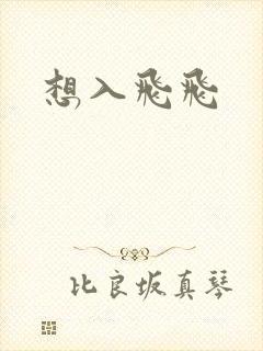 想入飞飞