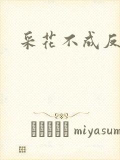 采花不成反被采