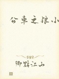 公车之狼小说