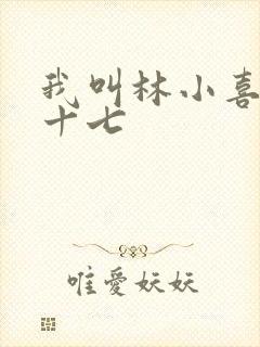我叫林小喜今年十七