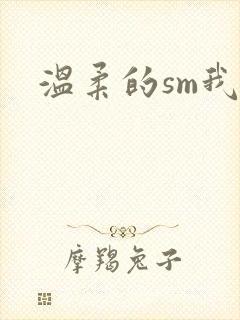 温柔的sm我