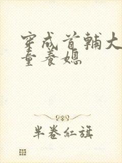 穿成首辅大人的童养媳