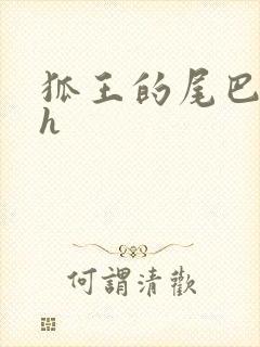 狐王的尾巴高ah