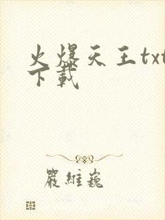 火爆天王txt下载