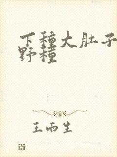 下种大肚子怀孕野种