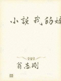 小说 我的娇妻