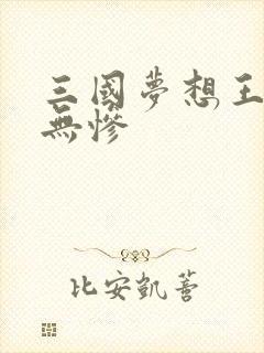 三国梦想王元姬无惨