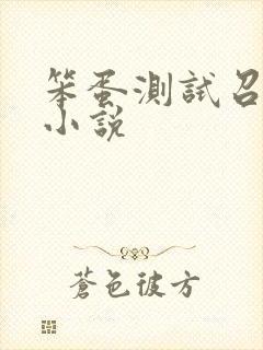 笨蛋测试召唤兽小说