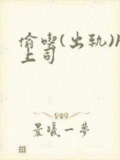 偷吃(出轨)h上司