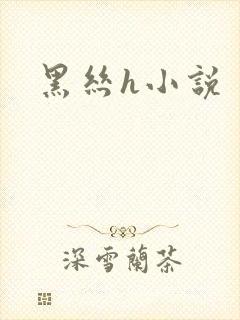 黑丝h小说