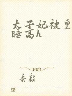 太子妃被皇上强睡高h