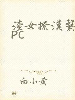 渣女撩汉系统NPC