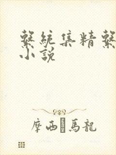 系统集精系统 小说