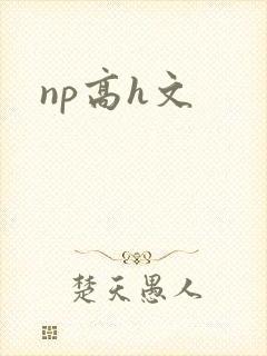 np高h文