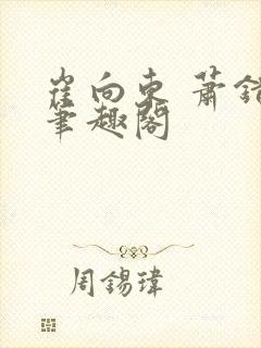 崔向东 萧错 笔趣阁