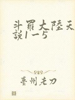 斗罗大陆天狂传说1一5