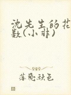 沈先生的花式调数(小非)