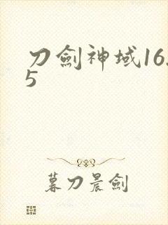 刀剑神域16.5