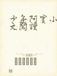 少年阿宾小说全文阅读