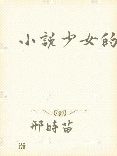 小说少女的心