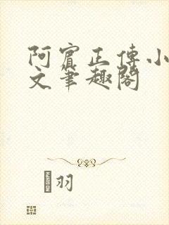 阿宾正传小说全文笔趣阁