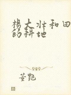 杨大壮和田桂花的耕地