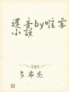 迟音by唯雾的小说