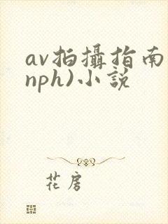 av拍摄指南(nph)小说