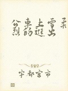 公车上雪柔被猛烈的进出