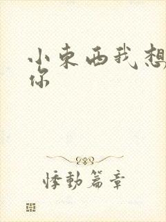 小东西我想弄坏你