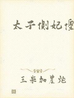 太子侧妃傻乎乎