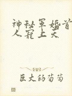 神秘军婚首长大人宠上天