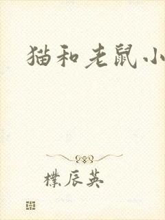 猫和老鼠小说