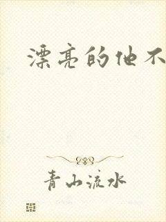 漂亮的他不说话