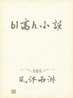 bl高h小说