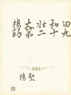 杨大壮和田桂花的第二十九