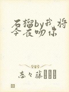 石榴by我将在今夜吻你