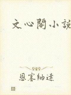 文心阁小说