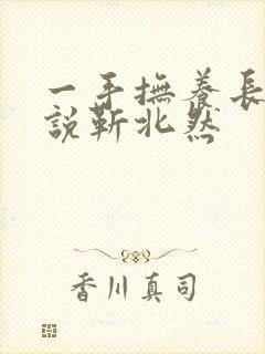 一手抚养长大小说靳北然