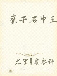 孽子石中玉