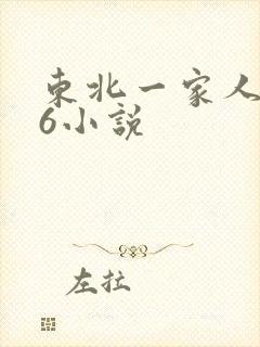 东北一家人1一6小说