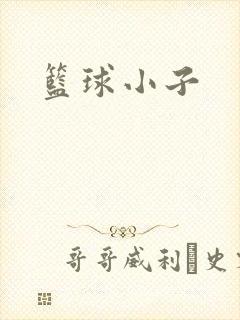 篮球小子