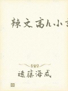 辣文高h小说