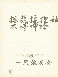 总裁揉捏她两乳不停呻吟