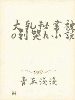 大乳秘书被cao到哭h小说