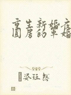 重生新婚夜正在圆房的军婚