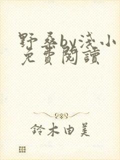 野桑by浅小说免费阅读