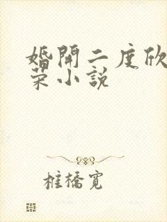 婚开二度欣欣向荣小说