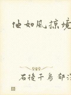 他如风掠境