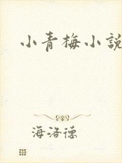 小青梅小说
